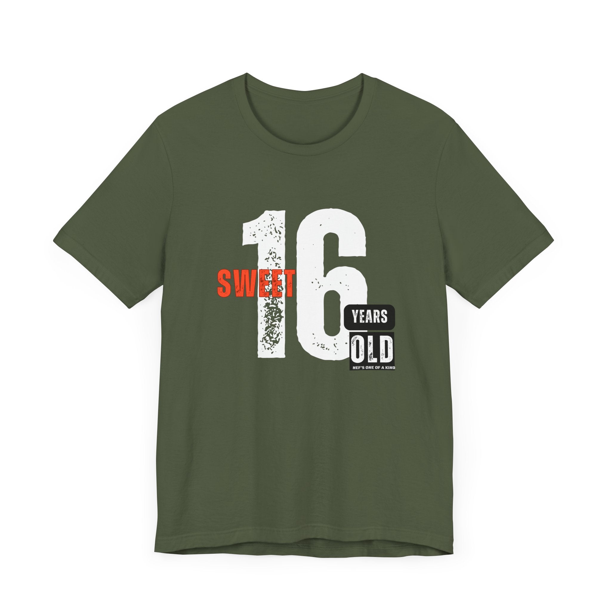 16year Old Unisex Adult Tee